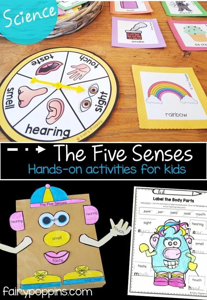 Activity sensing. Five senses activities. 5 senses activity. five senses: games and activities. five senses: activities for kids worksheets.