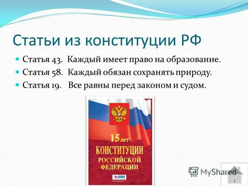 Ответы на вопросы 30 лет конституции. Статьи Конституции. Статьи Конституции РФ. Статья из Конституции РФ. Ст 58 Конституции РФ.