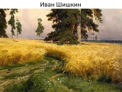 Произведение рожь
