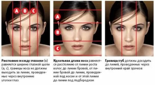 Схема лица. Между глаз это как. Идеальный размер лба. Золотое сечение лица. Схемы макияжа глаз для нависшего века.