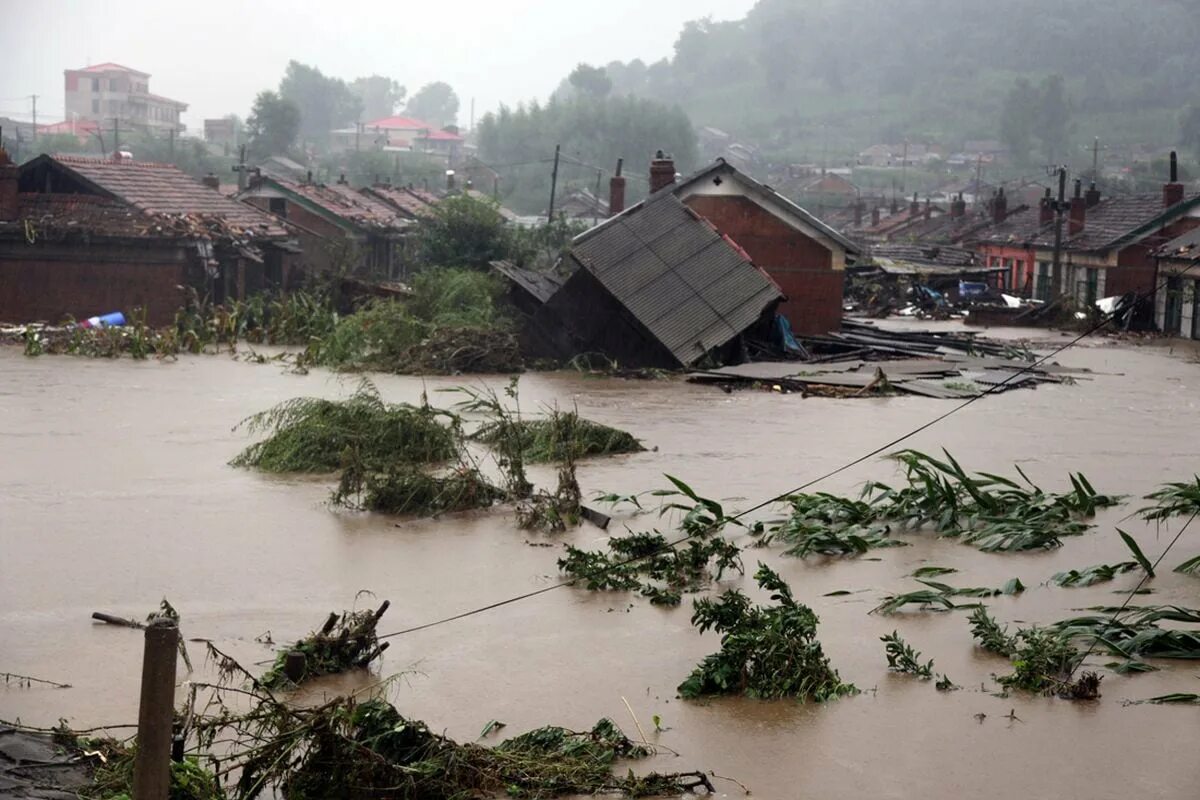 После потопа after the flood