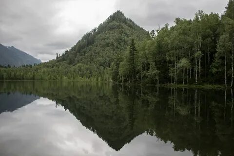 Выдрино где