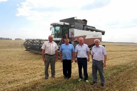 Погода село ладомировка белгородская область