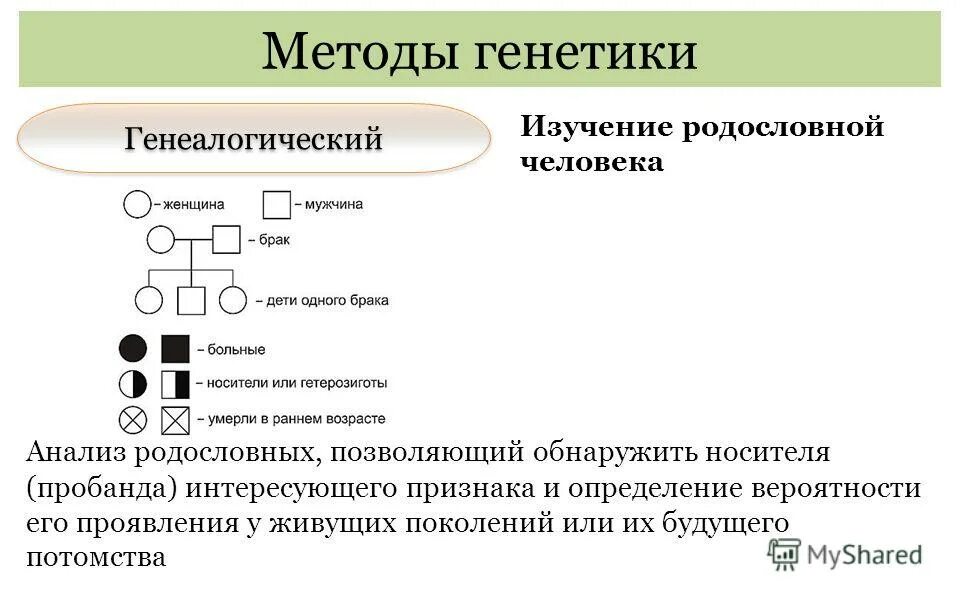 генеалогический метод исследования наследственности человека. генеалогический метод генетики человека позволяет установить. метод составления родословных генеалогический. генеалогический метод генетики человека позволяет установить. генеалогический метод изучения генетики человека.