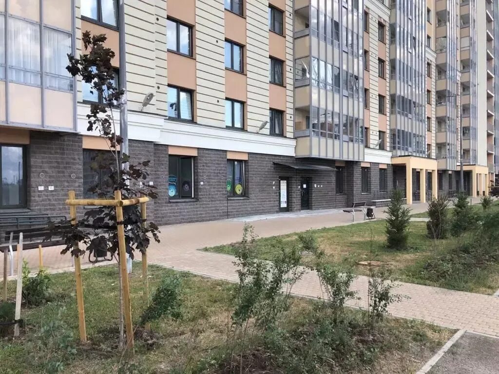Архивная 11 санкт-петербург. Архивная 7 спб. Санкт петербург ул архивная 11. Ул архивная 11 к 1. Архивная 7.
