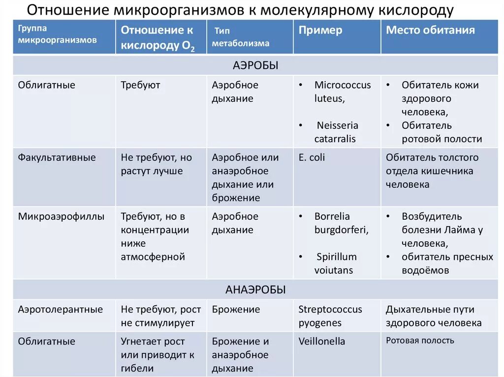 6 групп бактерий. Аэробы и анаэробы примеры. Облигатные анаэробы примеры. Классификация бактерий по отношению к кислороду микробиология. Отношение микроорганизмов к кислороду.