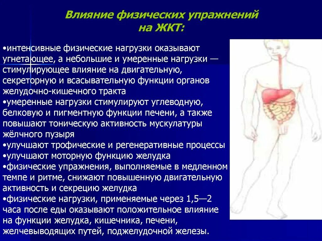 Упражнения желудочно кишечный тракт. Влияние физической нагрузки на ЖКТ. Влияние физических тренировок на ЖКТ. Положительное влияние на ЖКТ. Влияние физ нагрузки на ЖКТ.