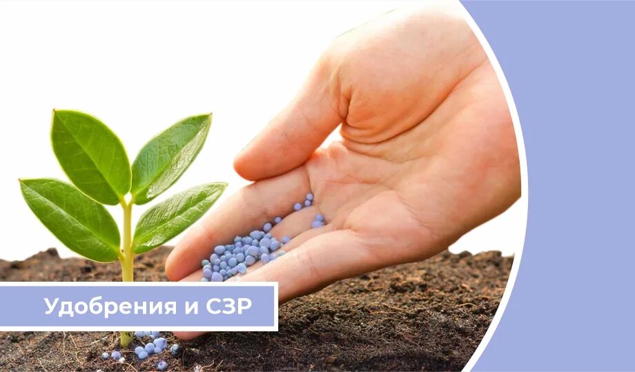 Удобрения средства защиты растений. Удобрения и средства защиты растений. удобрения и сзр. средства защиты растений реклама. защита растения на земле.
