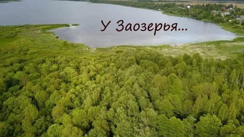 Погода в заозерье гатчинского