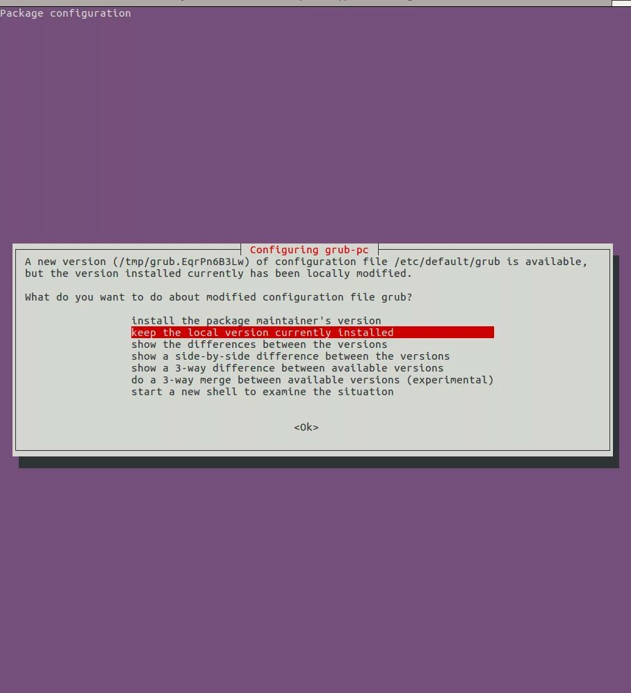 Apt install upgrade. Configuration grub. apt install local. grub hk.