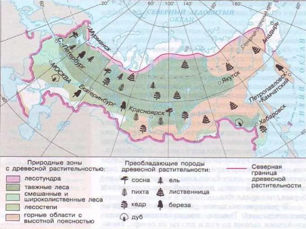 Природные зоны и биологические ресурсы россии. Контурная карта природные зоны России Тайга. Карта природных зон и животных России. Карта природных зон России с растениями. Карта природных зон России широколиственные леса.