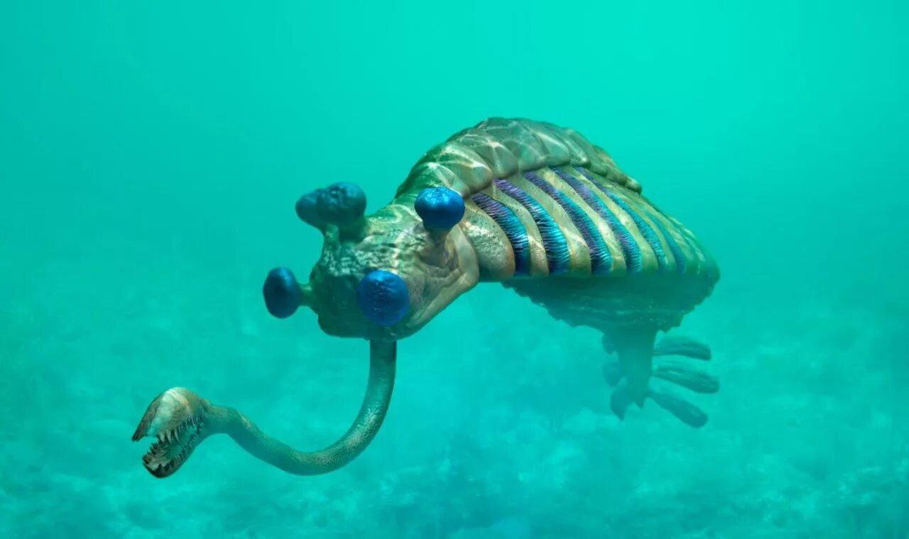 тихоходка (tardigrada). бактерия тихоходка. плащеносная акула плащеносец. Chlamyphorus truncatus. существа обитавшие на земле.