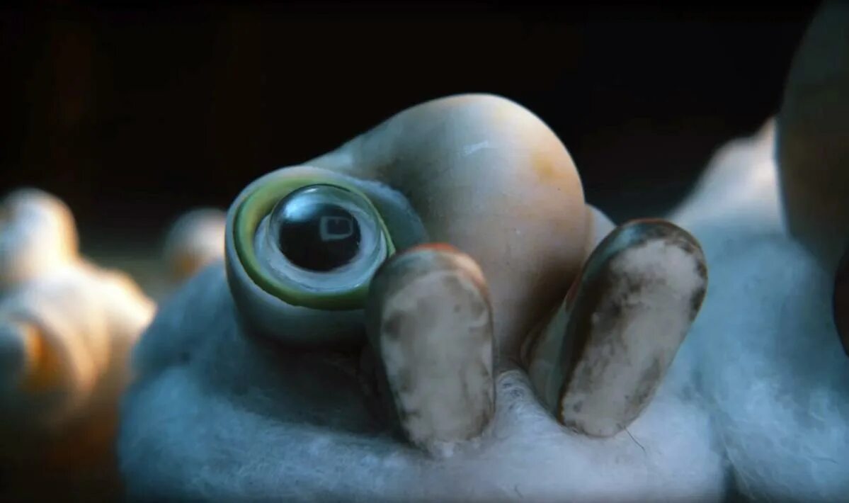 To shell with it. Marcel the shell. marcel the shell with shoes on.
