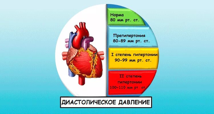 Диастолическое ад 60. Диастолическое ад 60. Диастолическое ад 60. Диастолическое ад 60. Характеризует степень тонуса артериальных стенок.