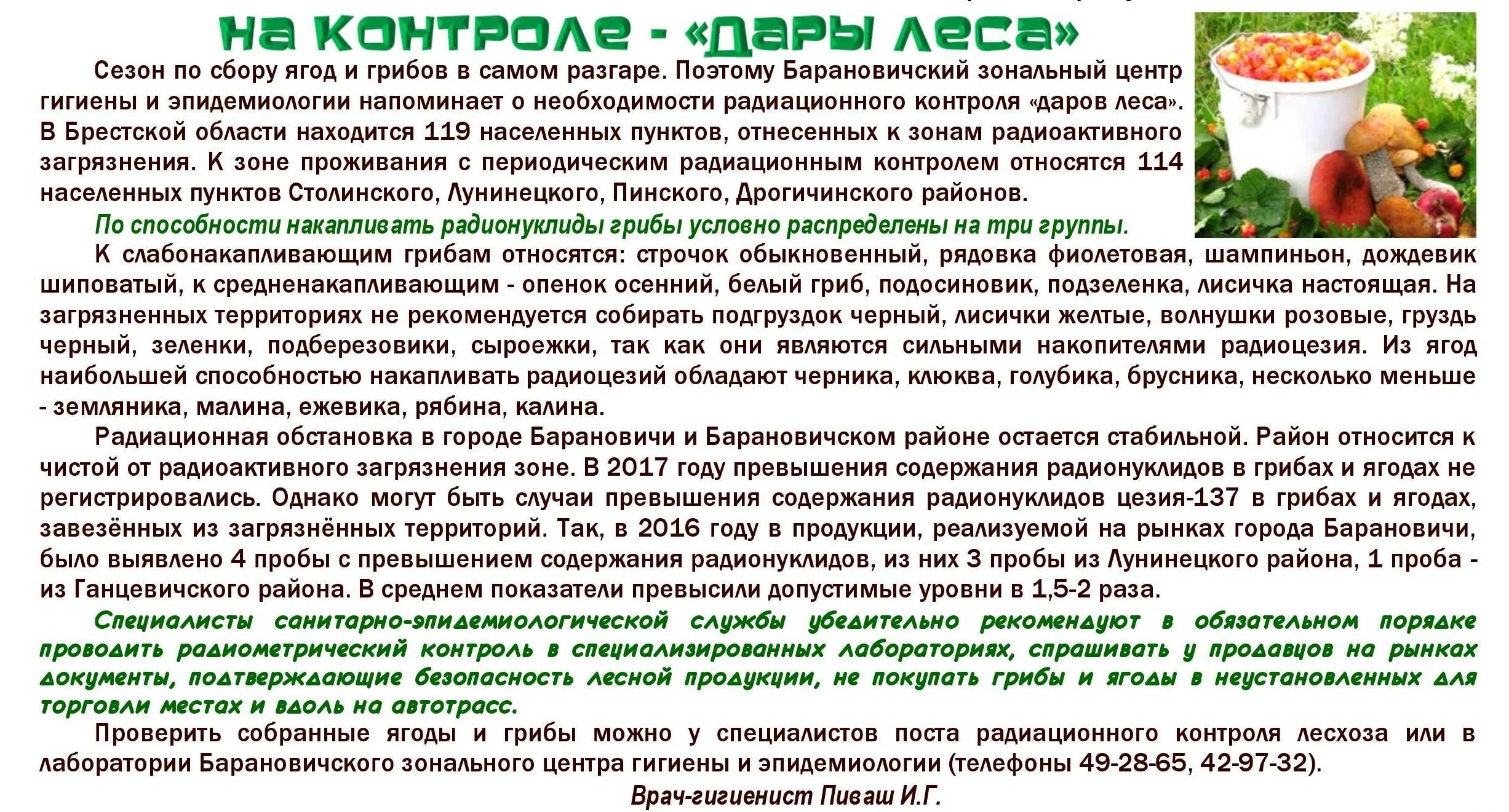 С какого возраста можно давать ребенку грибы. С какого возраста можно давать ребёнку грибы. Объявление о запрете сбора ягод и грибов. Радиоактивные ягоды и грибы. Грибы детям с какого возраста.