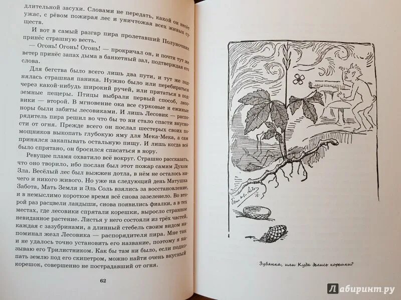 Рассказ лесная девочка. Шишов лесная девочка. Рассказ лесная девочка. Исангулов лесная девочка. Шишов лесная девочка.
