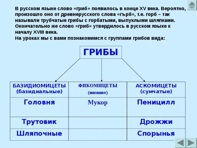 Язык грибов слова