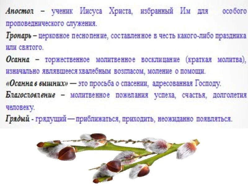 Тропарь вербное воскресенье текст на русском. Пальмовые ветки на вербное воскресенье. Тропарь вербное воскресенье текст на русском. Тропарь вербное воскресенье. С праздником входа господня в иерусалим с вербным воскресеньем.