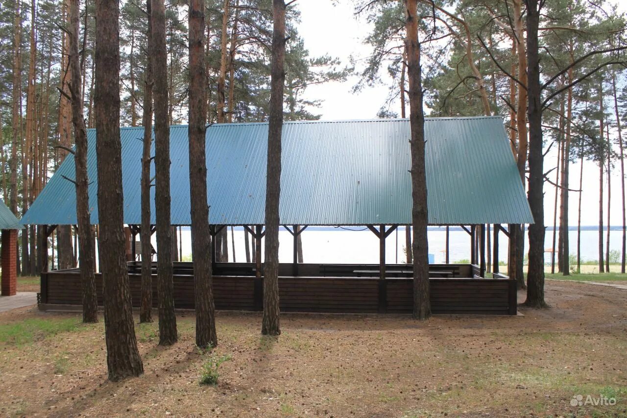 сосновый бор липецк база. сосновый бор билимбай. липецк матырское водохранилище сосновый бор. сайт соснового бора липецка. сосновый бор матырское водохранилище.