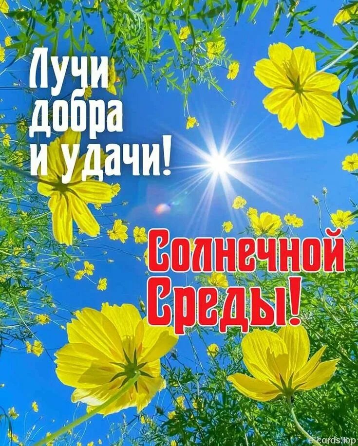 Доброй среды. Среда августа картинки с надписями. Красивые поздравления со средой. Среда августа картинки с надписями. Доброе утро среда.