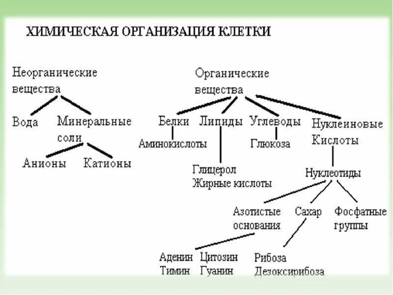 классы основных органический соединений. классификация органических веществ формулы. основные классы органических соединений таблица 10 класс химия. основные органические соединения в химии. классы кислородсодержащих органических соединений.