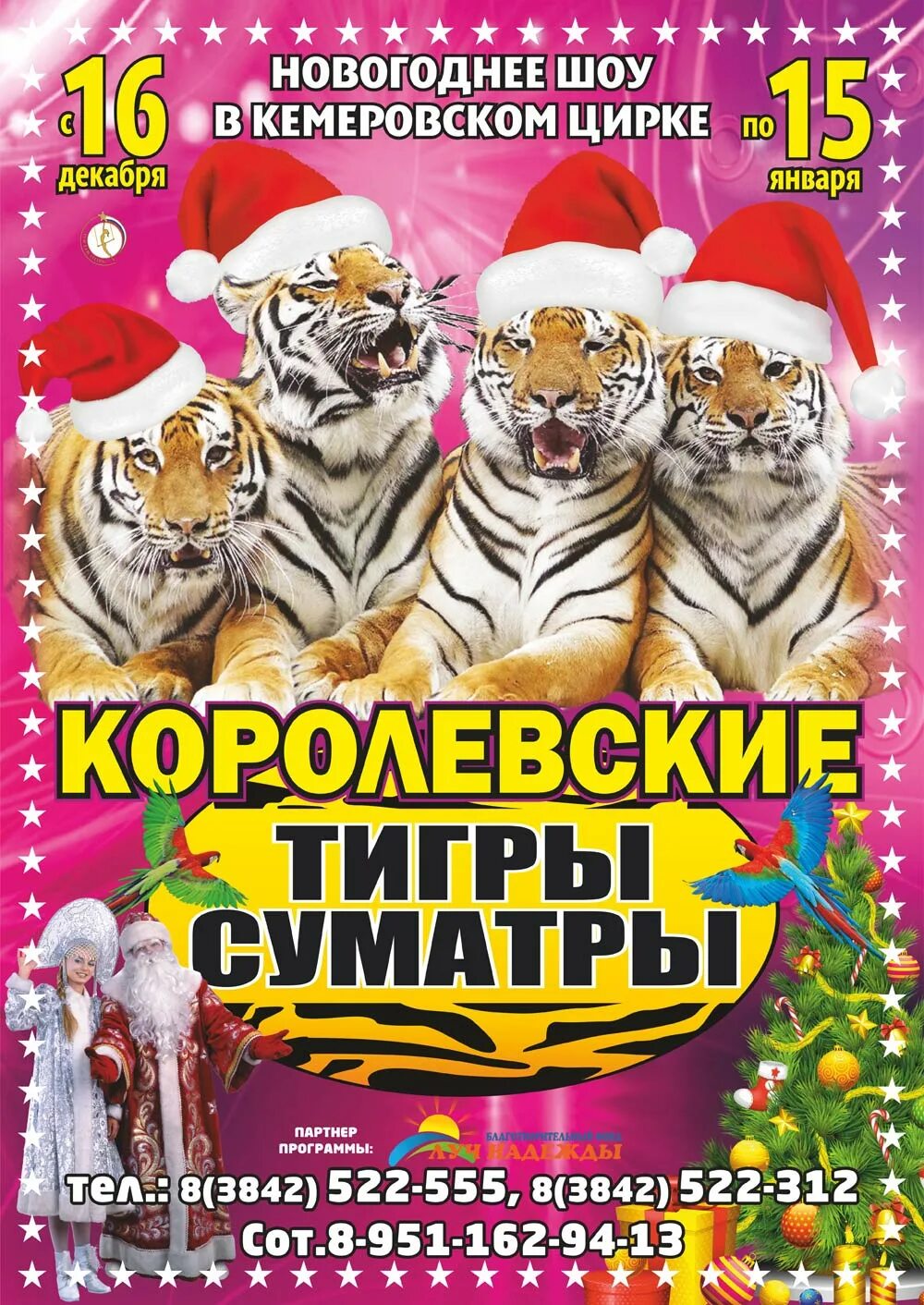 Королевские тигры Суматры цирк. Афиша цирка. Кемеровский цирк афиша. Тигр в цирке. Цирк билеты январь