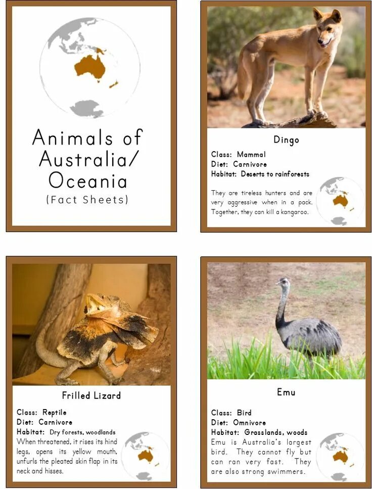 Facts about animals. Facts about Australia. Animals fact Card. Factfile about Australia.