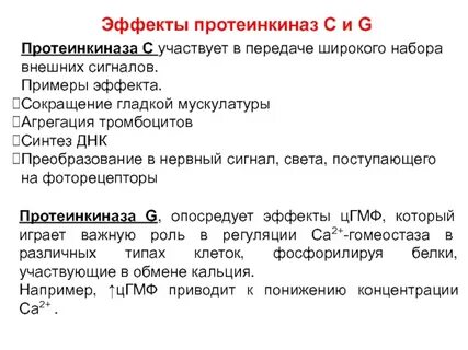 Протеинкиназа
