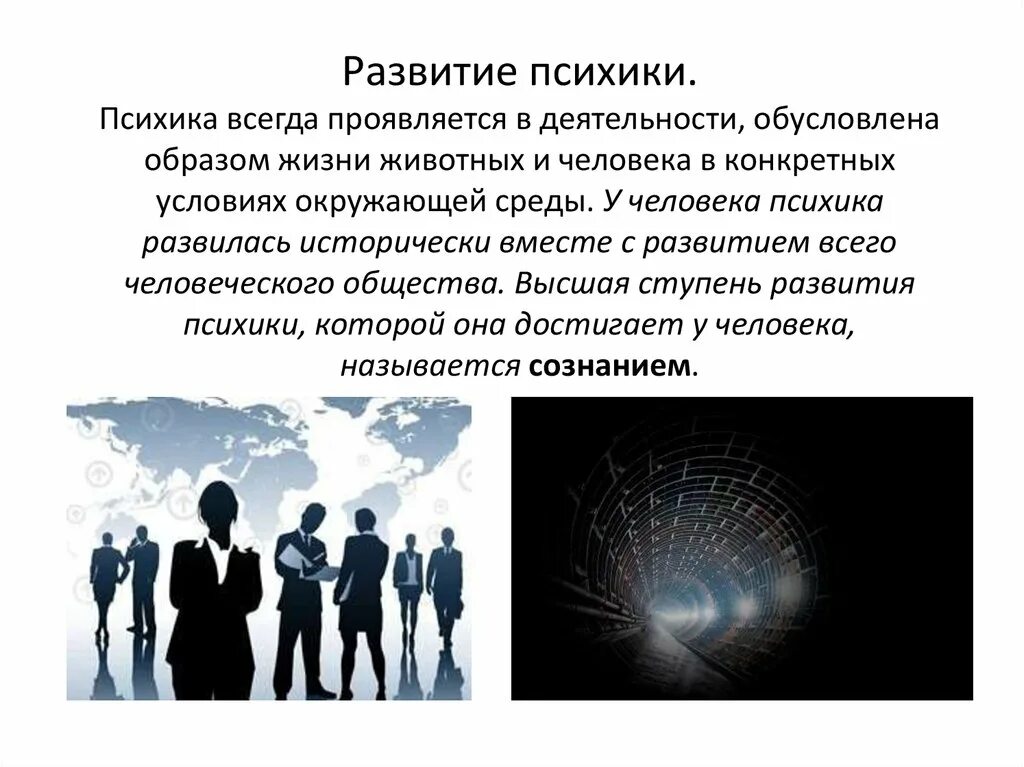 Тема поведение и психика. Психика для презентации. Психика человека. Психика человека презентация. Как выглядит психика у человека.