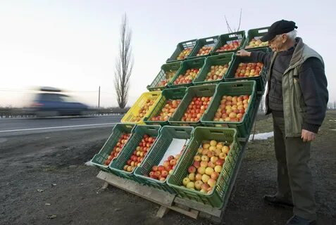 Закупки у населения