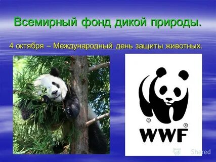 Всемирный фонд дикой природы животные