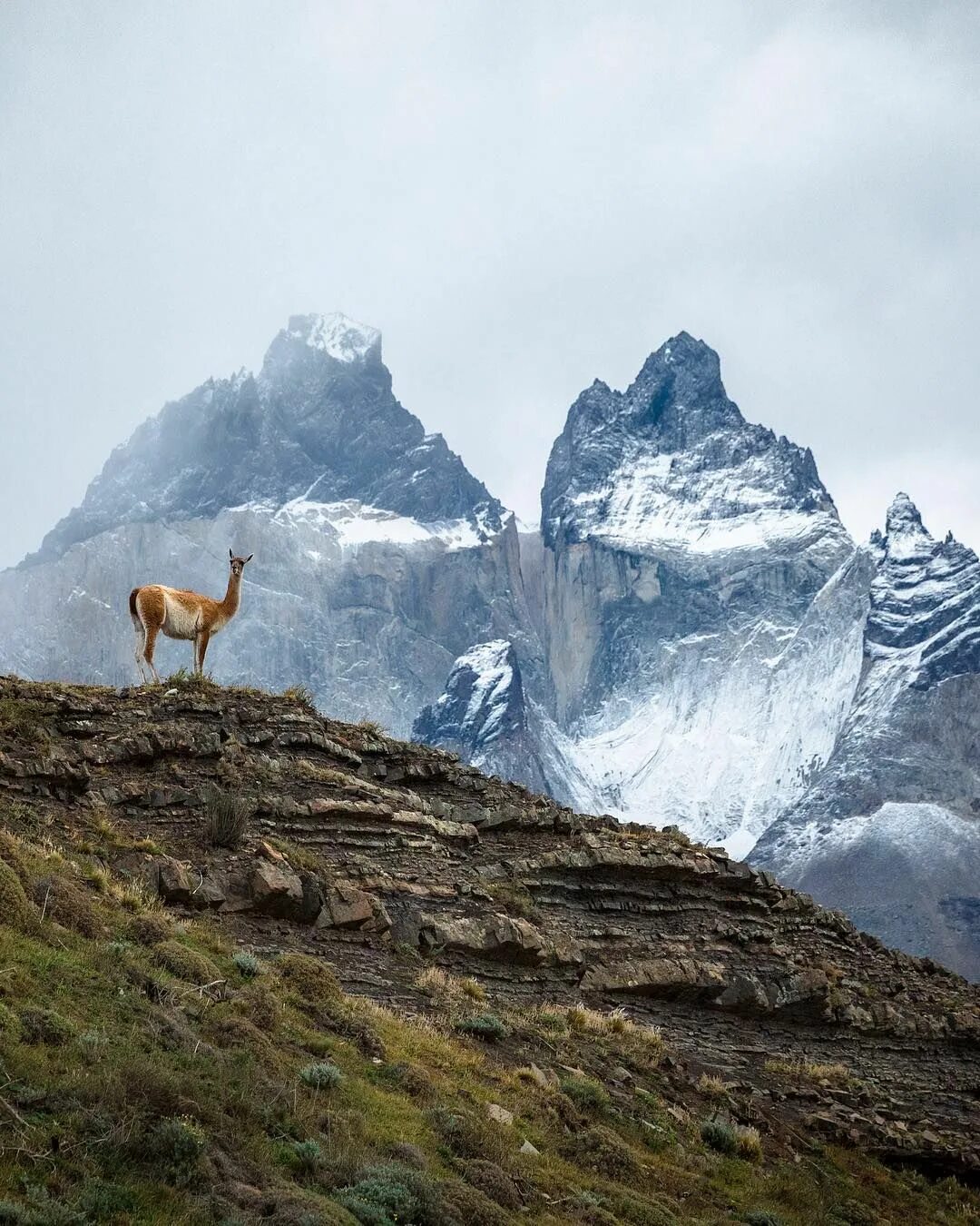 The mountains in are beautiful. Торрес дель Пайне Патагония. Национальный парк Торрес-дель-Пайне Чили. Горный пейзаж. Величественные горы.