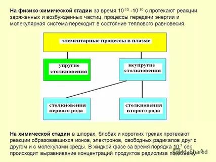 Химические реакции протекающие в организме человека