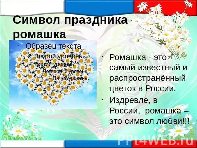 Символ любви и верности в россии. Ромашка символ семьи любви и верности. Ромашка символ семьи. Ромашка символ любви. Ромашка символ России.