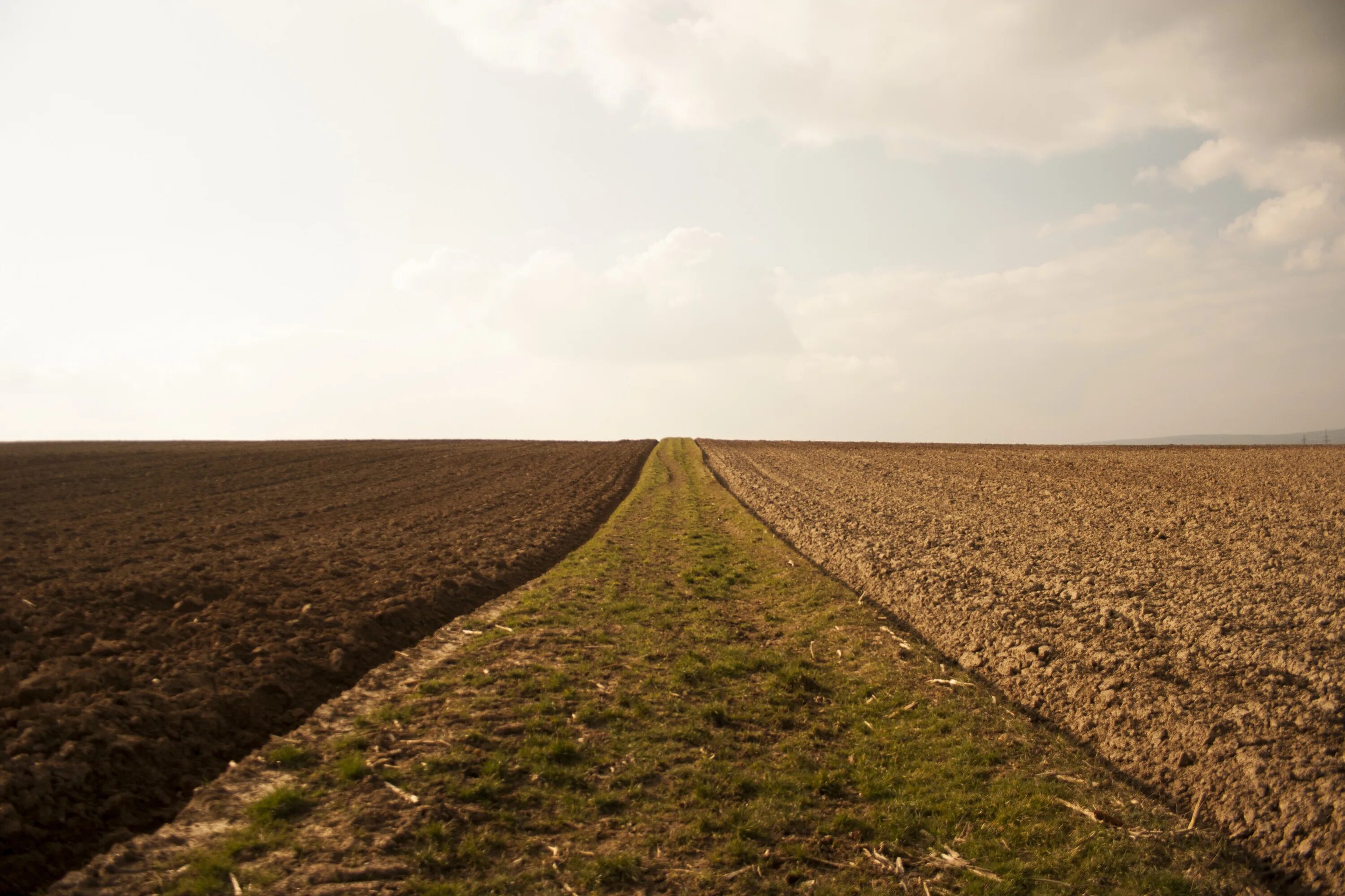 Fields area. Поле грядки. Пашня. Пахотные земли. Поле пашня.