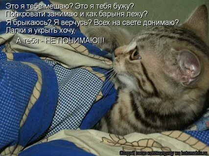 Бузить бужу
