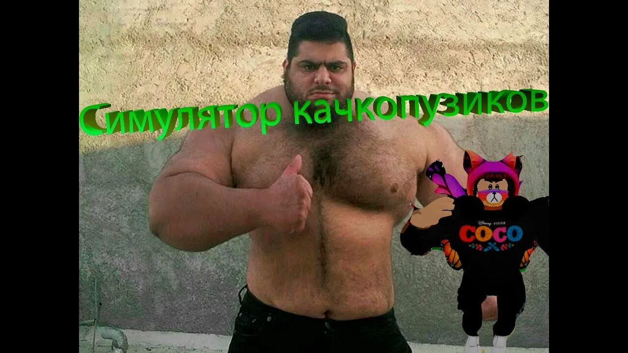 Толстопузики. Картинка толстопузики.