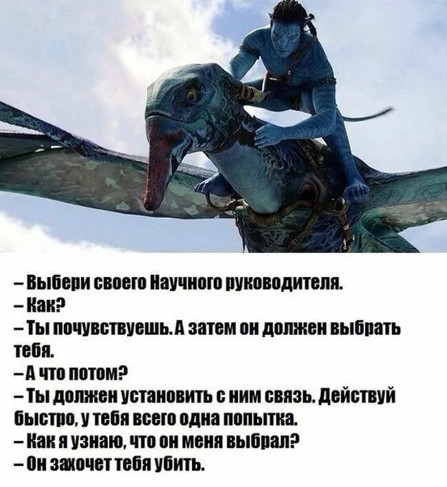 Почувствуй мое преимущество 10. Приколы про научного руководителя. Выбрать своего научного руководителя. Как выбрать научного руководителя юмор. Шутки про научного руководителя.