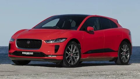Jaguars 1