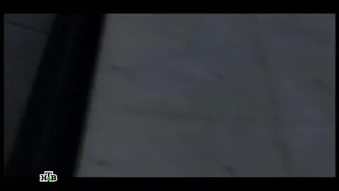 Глухарь 22