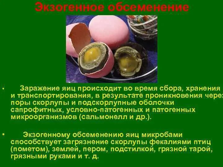 Неприятен запах яиц. Сальмонеллез яйца куриные. Сальмонелла в курином яйце. Источники заражения яиц. Яйца зараженные сальмонеллезом.