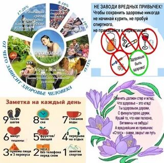 Проведении всемирного дня здоровья