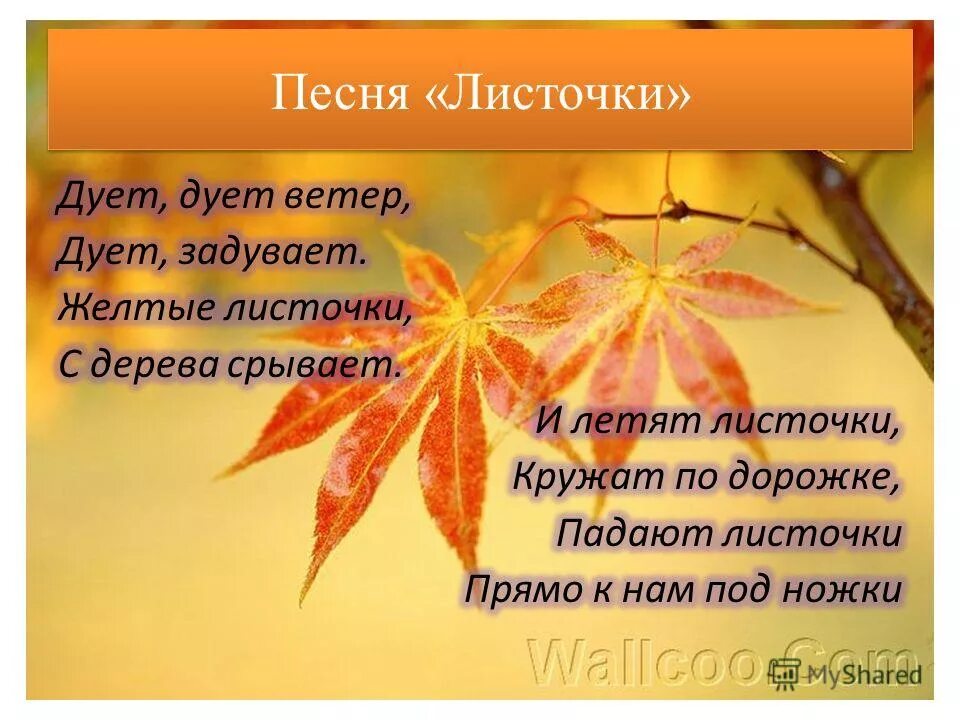 Листик желтый на дорожку упадет. Листик желтый на дорожку упадет