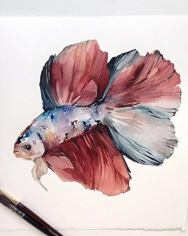 Рыбы в абстрактной живописи. Кот с рыбкой акварель. Рыба арт. Рыбки акварелью. Рыбка акварелью для начинающих.