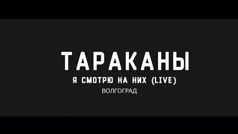 Тараканы я смотрю на них