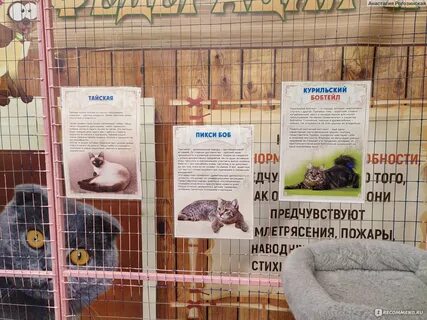Сибэкспоцентр иркутск расписание выставок 2024 год