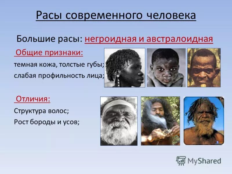 человеческие расы.