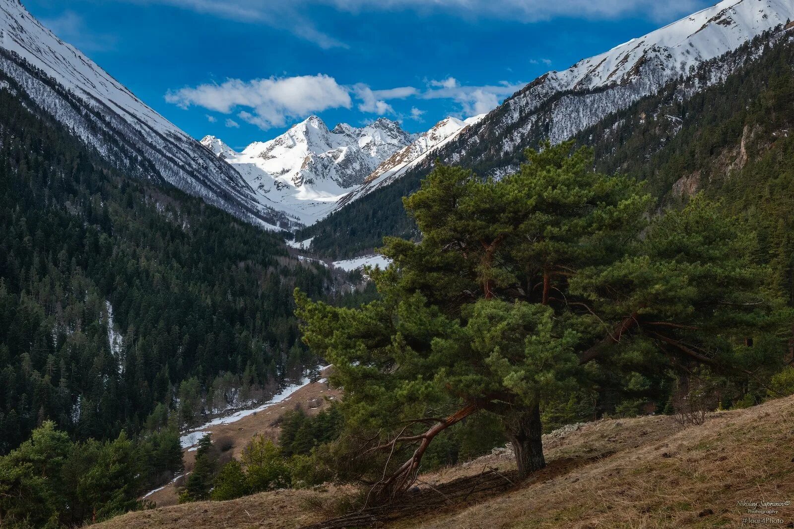 Мухинское ущелье домбай. Теберда ущелье. Тебердинское ущелье. Мухинское ущелье в теберде. Тебердинский заповедник домбай.