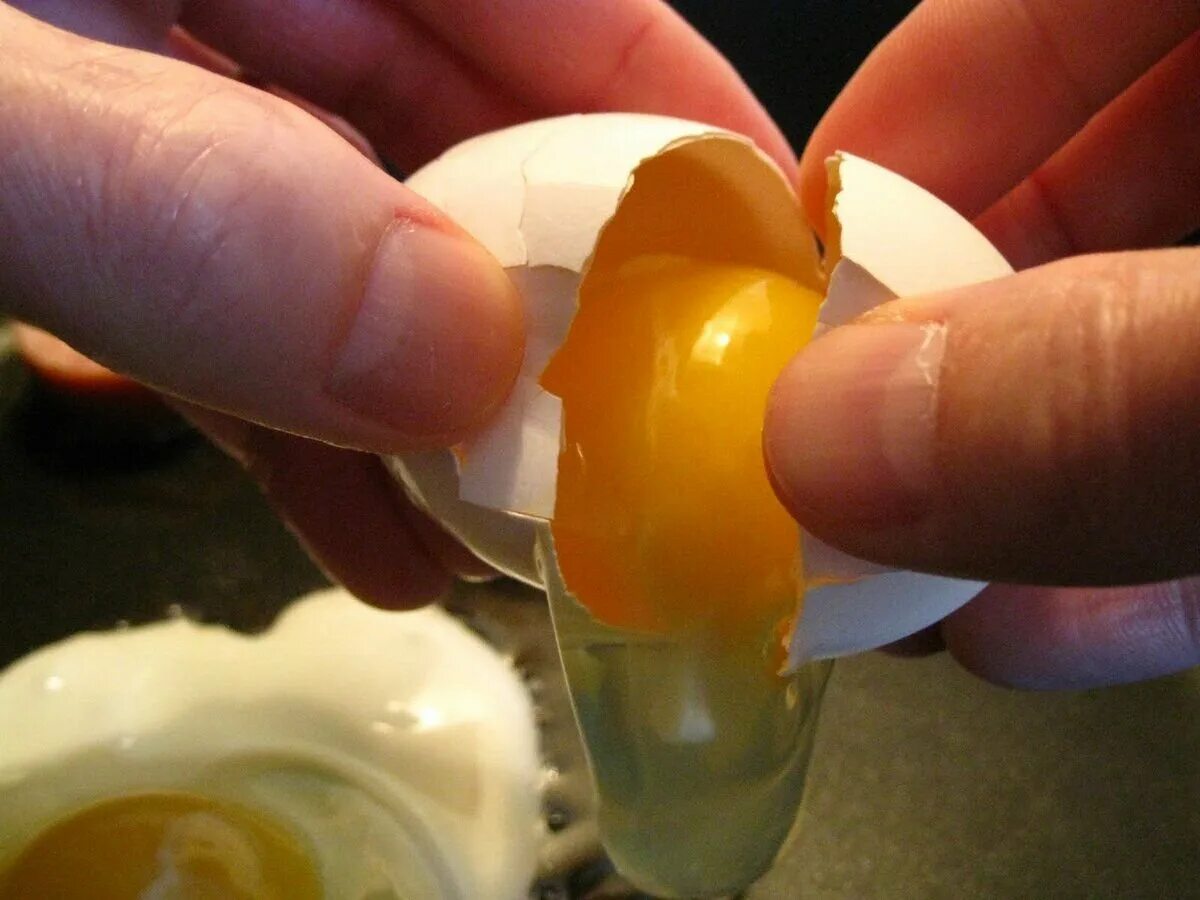Разбитое яйцо. Разбитые яйца. Яйцо разбилось. Сырое яйцо.
