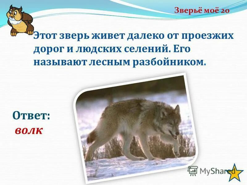 Загадка про кошку. Какое животное не может жить без уроков. Весной веселит летом холодит осенью питает зимой согревает. Поступление веществ в клетку. Вопросы и загадки на логику с ответами.